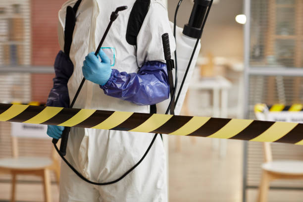 Professional Sewage Cleanup technician working in Forest, IN