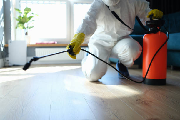 Reliable Sewage Cleanup contractor in Forest, IN by Trauma Clean Pros